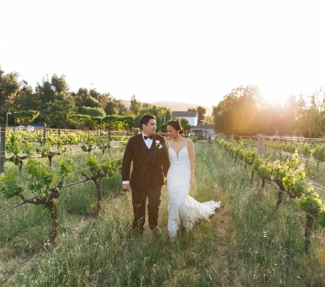 Cline Family Cellars wedding venue