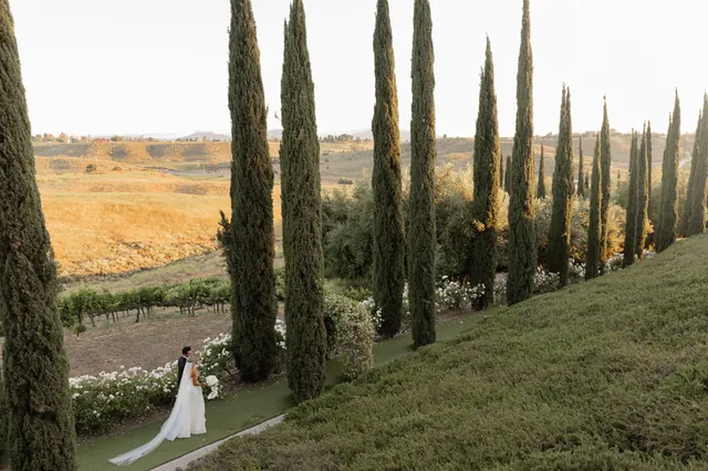 Falkner Winery