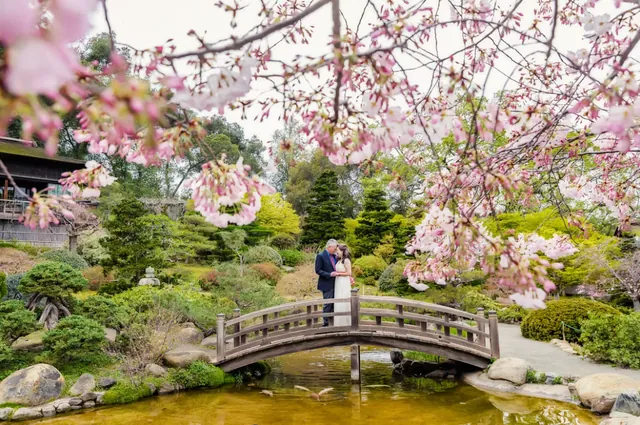 Hakone Estate and Gardens
