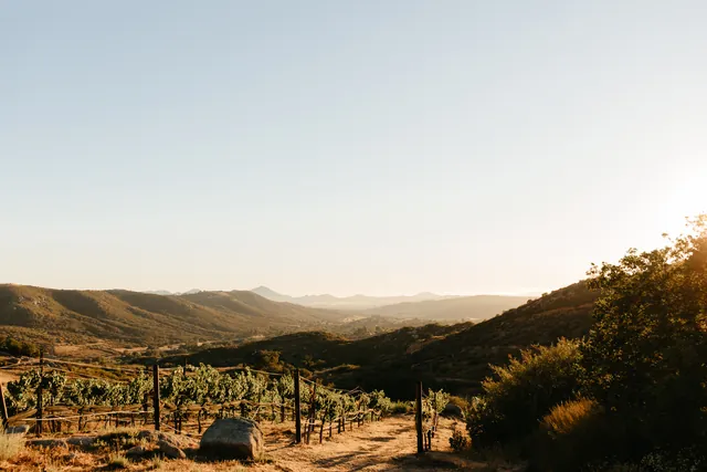 Milagro Winery wedding venue