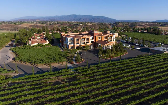 South Coast Winery wedding venue