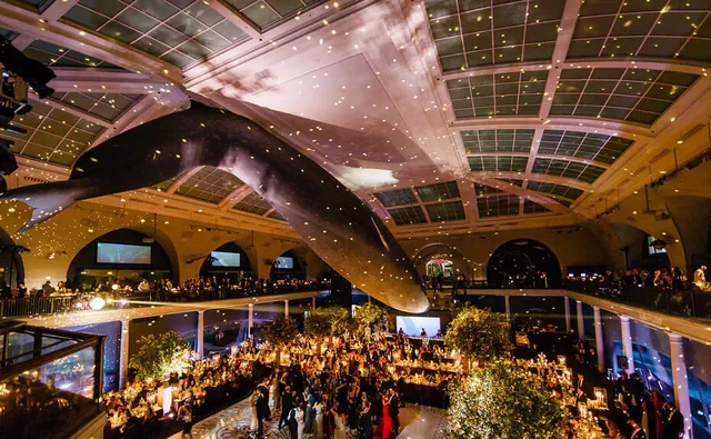American Museum of Natural History