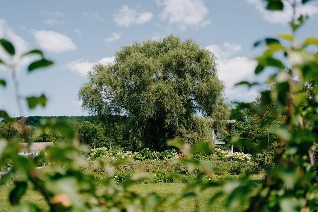 Blooming Hill Farm
