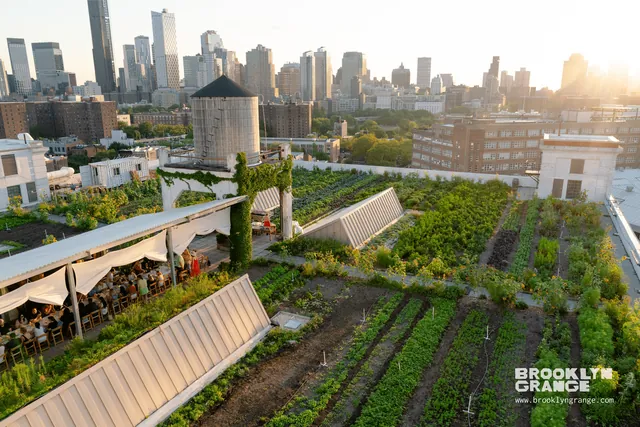 Brooklyn Grange