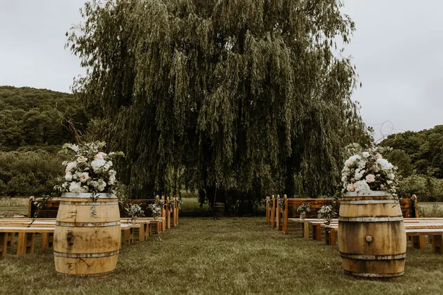 Nostrano Vineyards