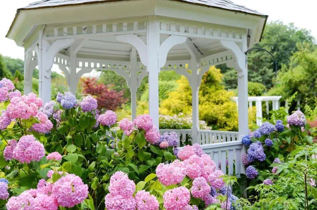 Queens Botanical Garden