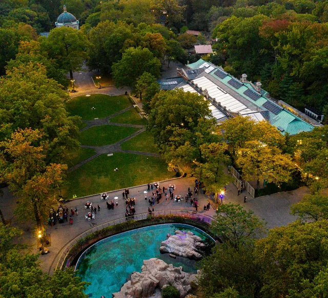 The Bronx Zoo