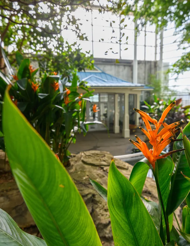 Phipps Conservatory and Botanical Gardens